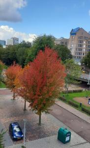 Jacquelien 01 - Te mooi om te laten staan